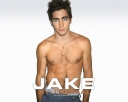 Jake-jake-gyllenhaal-2966147-1280-1024.jpg